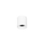 Italux ALTISMA CLN-6677-75-WH-3K Felületi spotlámpa 1x10W/LED 3000k 1100LM IP20