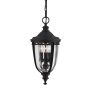 Feiss ENGLISH BRIDLE FE-EB8-M-BLK Függőlámpa 3x60W/E14 IP23