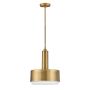 Hinkley Lighting Cedric HK-CEDRIC-P-M-BR Függőlámpa 2x60W/E27 IP20