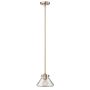 Hinkley Lighting CONGRESS HK-CONGRESS-P-A-BC Függőlámpa 1x60W/E27