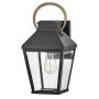 Hinkley Lighting Dawson HK-DAWSON-M Fali lámpa 1x60W/E27 IP44