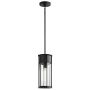 Kichler Camillo KL-CAMILLO-P-TBK Függőlámpa 1x60W/E27 IP44