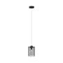 Zuma Line NIRA MD3523-1-EBCN Függőlámpa 1x40W/E14 IP20