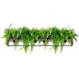 King Home SEMIRA INDUSTRIAL OSW001005 Függőlámpa 6x40W/E27 IP20