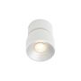 Nordlux PITCHER 2310400101 Spotlámpa 1x10W/GU10 IP20