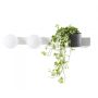 Kaspa BOTANICA DECO 20852201 Fali lámpa 2x9W/E14 IP20