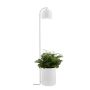 Kaspa BOTANICA XL 40848101 Állólámpa 1x9W/GU10 IP20