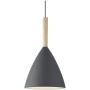Nordlux PURE 43293010 Függőlámpa 1x40W/E27 IP20