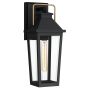 Quoizel Buckley QZ-BUCKLEY-M-MBK Fali lámpa 1x40W/E27 IP44