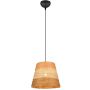 Trio JOELINE R31731926 Függőlámpa 1x10w/e27 ip20