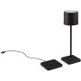 Trio FERNANDEZ R54096132 Asztali lámpa 1x1w/led 2700+4000+6000K 130lm ip54