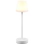 Trio MARTINEZ R54086131 Asztali lámpa 1x2w/led 2700-6500K 250lm ip44