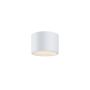 Maytoni Hydra C090CL-10W3K-W 1x10W/LED 3000K 740lm IP44