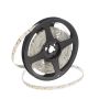 SMD LED HOMEline TAS4793SLL LED szalag 120x9,7W/m/LED 4000K 880 lm/m IP20