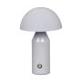 Italux Dorbia TB-83647-GR Asztali lámpa 1x2W/LED 3000-6500K 45lm IP20