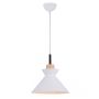 Zambelis PENDANT LAMP 180066 Függőlámpa 1x40w/E27 IP20