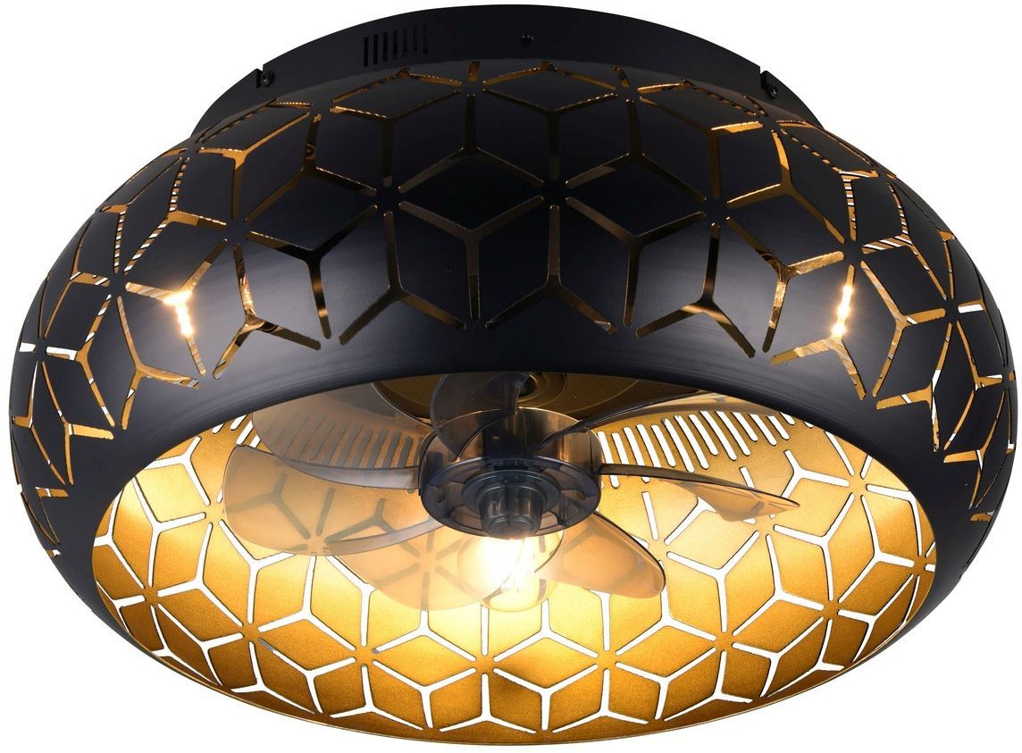 TRIO-BIDAR-R61574080-TRIR61574080