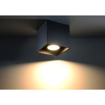Sollux QUAD SL.0022 Felületi spotlámpa 1x40W/GU10