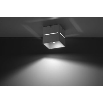Sollux LOBO SL.0208 Felületi spotlámpa 1x40W/G9