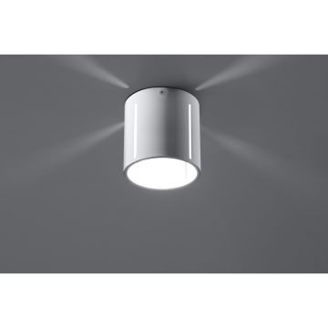 Sollux INEZ SL.0355 Felületi spotlámpa 1x40W/G9