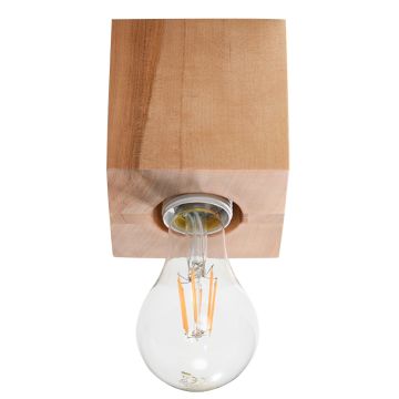 Sollux ARIZ SL.0675 Süllyesztett mennyezeti lámpa 1x60W/E27 IP20