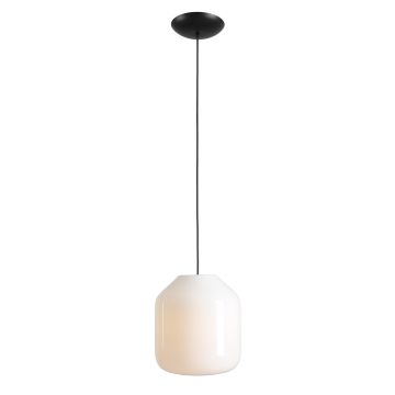 Aldex FLASK ORCHID L 8500G1_L Függőlámpa 1x15W/E27