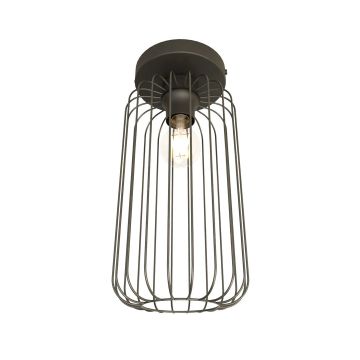 Emibig BARN 1367/1 Plafonlámpa 1x15W/E27 IP20