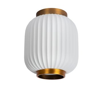 Lucide GOSSE 13135/01/31 Plafonlámpa 1x40w/e27 ip20
