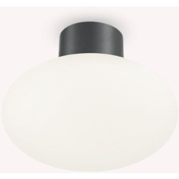 Ideal Lux CLIO 148861 Plafonlámpa 1x42W/E27 ip44