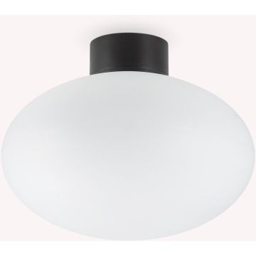 Ideal Lux CLIO 148878 Plafonlámpa 1x42W/E27 ip44