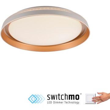 Paul Neuhaus SATI 14368-60 Plafonlámpa 1x23,5W/LED 3000k 2630lm ip20