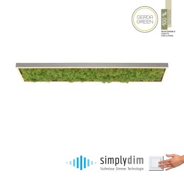 Paul Neuhaus GREEN KNUT 15623-66 Plafonlámpa 1x25W/LED 3000k 2050lm ip20