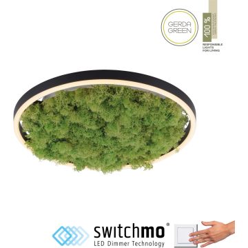 Paul Neuhaus GREEN RITUS 15391-66 Plafonlámpa 1x20W/LED 3000k 630lm ip20