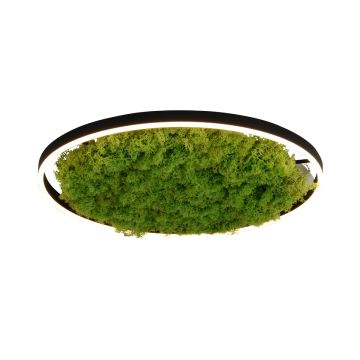 Paul Neuhaus GREEN RITUS 15392-66 Plafonlámpa 1x28W/LED 3000k 960lm ip20