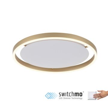 Paul Neuhaus RITUS 15391-60 Süllyesztett mennyezeti lámpa 1x20W/LED 3000K 1060LM IP20