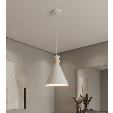 Emibig ZERO 1679/1 Függőlámpa 1x15W/E27 IP20