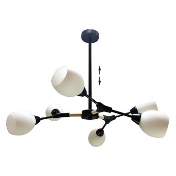 Prezent CITTERIO 18300 Plafonlámpa 6x40W/E14 IP20