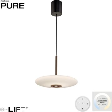 Paul Neuhaus PURE E-Vitrum 2084-34 Függőlámpa 1x26W/LED 2700-5700k 1900lm ip20