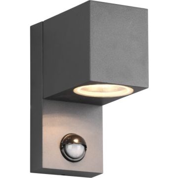 Trio ROYA 214269142 Fali lámpa 1x35w/gu10 ip44