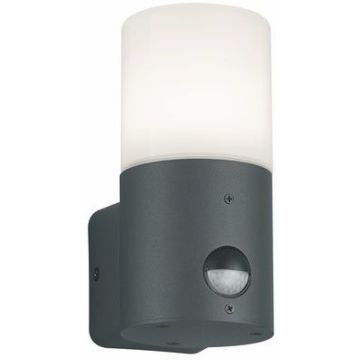 Trio HOOSIC 222260142 Fali lámpa 1x28w/e27 ip44