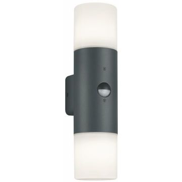 Trio HOOSIC 222260242 Fali lámpa 2x28w/e27 ip44