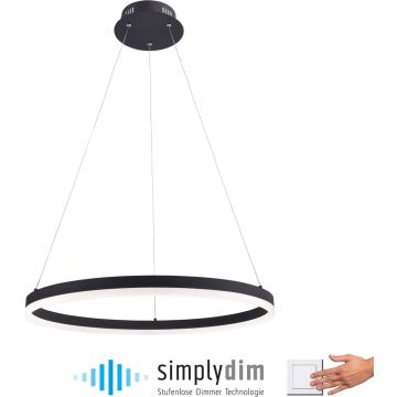 Paul Neuhaus TITUS 2382-13 Függőlámpa 1x44W/LED ip20