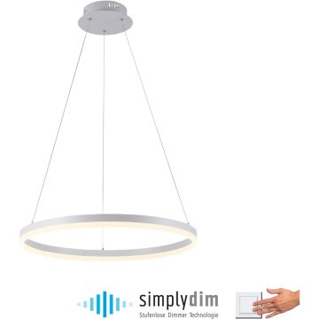 Paul Neuhaus TITUS 2382-16 Függőlámpa 1x44W/LED 3000k 5250lm ip20
