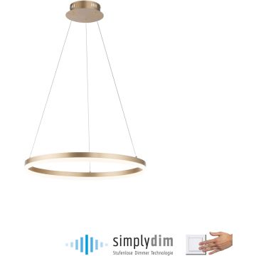 Paul Neuhaus TITUS 2382-60 Függőlámpa 1x44W/LED 3000k 5250lm ip20