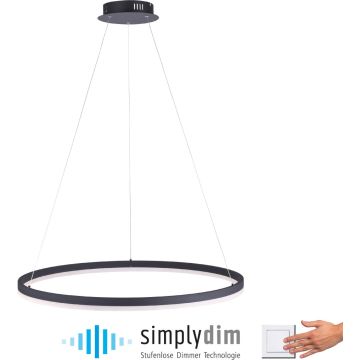 Paul Neuhaus TITUS 2383-13 Függőlámpa 1x61W/LED ip20