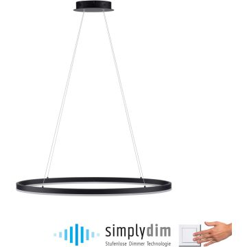 Paul Neuhaus TITUS 2392-13 Függőlámpa 1x38W/LED 3000k 1800lm ip20