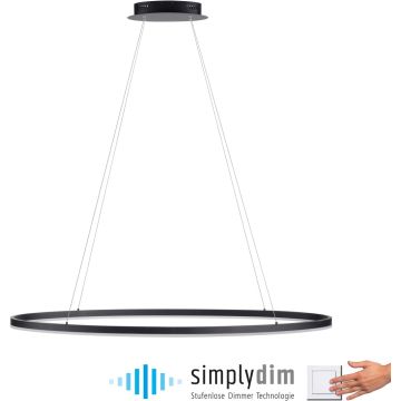 Paul Neuhaus TITUS 2393-13 Függőlámpa 1x57,5W/LED 3000k 2700lm ip20