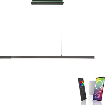 Paul Neuhaus Q-ARIAN 2569-13 Függőlámpa 4x55W/LED 2700-5000k 5520lm ip20