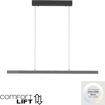Paul Neuhaus ADRIANA COMFORT LIFT 2598-13 Függőlámpa 1x13W/LED 2700-5000k 2085lm ip20