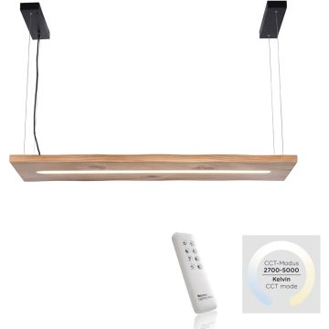 Paul Neuhaus PALMA 2625-79 Függőlámpa 1x27W/LED 2700-5000k 2750lm ip20